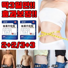 [정품보증] 2+2/3+3 다이어트 패치 습기 제거 패치 초본배독혈위거습편첩 복부 다이어트 패치 건강한 습기 해소 경혈 패치 한방 속효 선물 랜덤 증정, 3개, 6매입