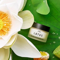 모이스쳐마사지크림