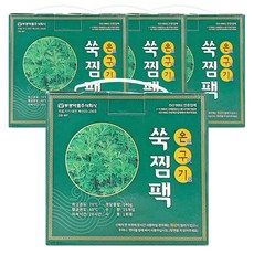 부광약품 쑥찜팩 60p+밸트4개 온구기 온열 복부 핫팩 팩 쑥 찜질팩, 2100g, 4팩