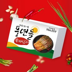 풍년들 맛있는 대용량 업소용 쪽파김치 종이박스, 1박스, 10kg