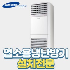 삼성 30평 냉난방기 스탠드 냉온풍기 AP110RAPPHH1 사무용 업소용, 기본