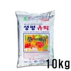 대파10kg