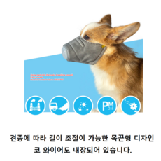 강아지코로나마스크