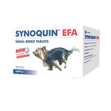 사이노퀸중형견