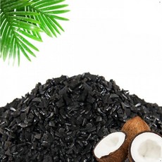 공기정화용숯나무