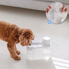  1+1 3중여과필터 증정 고양이 강아지 무선 자동 급수기 정수기 음수대 반려견 음수기 펫 애견 물 급수대 분수대 디스펜서 UV살균 2L 대용량, 워터펫 1개+3중여과필터 1개 