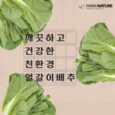 [Farm Nature] 친환경 얼갈이배추, 400g