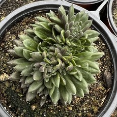 사마천의화식열전