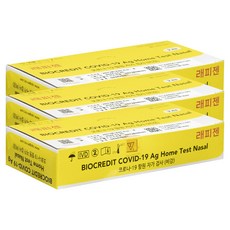 여름에하는키트