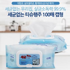 우리집요정물티슈워머