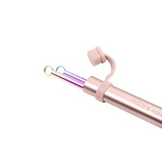 리빙에디터 휴대용 스테인레스 레인보우 빨대 로즈골드 메탈케이스 세트, 1세트, 5p