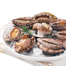 [현탑수산] 완도 활 전복 한입 15-20미 500g / 손질칼, 1개