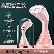 미라클스팀다리미