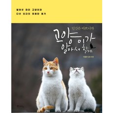 꽃새가끔고양이