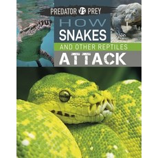 (영문도서) Predator Vs Prey: How Snakes and Other Reptiles Attack! Hardcover, Wayland, English, 9781526314550