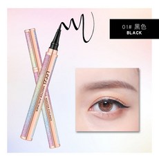 지 워 지지 않 는 초보 자용 아이라이너 01 # 블, 51365425846