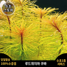 430e5e85b6545752bd248f9bee67880d3bcdb4ea03c3d26574f11095d1bf.png