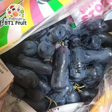 사파이어