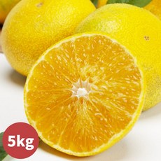 제주과일황금향 제주특산물 황금향 서귀포 황금향 황금향택배 5kg 산지직송 풍부한 과즙 진한향