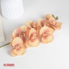 필름카메라현상기