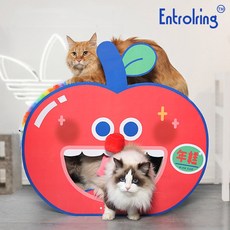 카사바랑캣츠