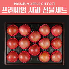 [명절 선물 산지직송] 당도 보장 프리미엄 국산 햇 사과 선물 세트, 명품 사과 선물세트 5kg(13~14과)