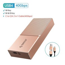 ORICO USB4 NVMe SSD 인클로저 알루미늄 M.2 케이스 썬더볼트 3 4 USB3.2 USB 3.1 3.0 C타입 호환 40Gbps PCIe3.0 x, 02 USB4-40Gbps-Gold, 한개옵션1 - 8thdd