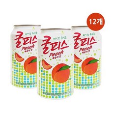 쿨피스