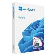 윈도우10 MS Windows 11 Home FPP(USB)