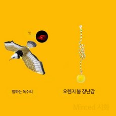 고양이장난감 날아다니는 앵무새 독수리 새 고양이 장난감 시뮬레이션 움직이는 다기능, 12_독수리 소리 모델 + 스프링 장난감(2피, 1개
