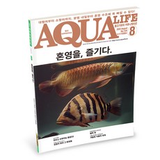 아쿠아라이프 2023년 8월호 (혼영을 즐기다), 1개