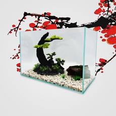 [청룡아쿠아] 유니크5 올디아망 60슬림 60x30x33cm 5T