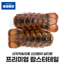꼬리 냉동랍스타 110g 랍스터 자숙랍스터 고씨네, 1개