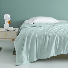 브레빌아이스크림메이커