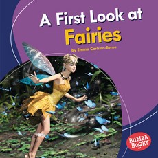 A First Look at Fairies Library Binding, Lerner Publications (Tm)