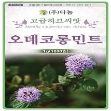 45fac9f801e158125f676631071dc827a9ca90f5b9fa27f0d50f7a921909.jpg