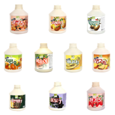 차그림 과일농축액 음료베이스 과일주스원액 10종, 850ml, 1개