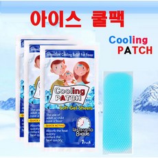 메카텍 아이스쿨팩 여름쿨팩 냉쿨팩, 30개