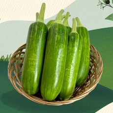 국내산 애호박 1kg (개당 350g 내외), 1개