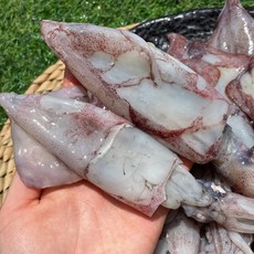  서해안 활 급냉 한치 생물, 1개, 2kg 