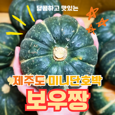 산지직송 제주 보우짱 미니단호박 미니밤호박 보짱 달콤한 특품 특산품 1kg 2kg 3kg 5kg 10kg 햇미니 국산 국내산, 1박스, 1kg (2~5과 내외)
