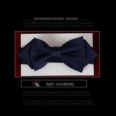 네이비이중보타이