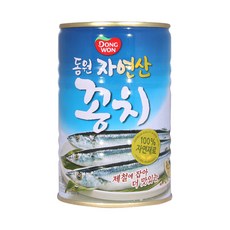 캔꽁치