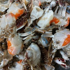 푸른바다 서해 급냉 암꽃게 손질세척 절단 [중소] 발많이 없음X 1KG, 손질세척 절단 암꽃게 발 많이 없음 [중소] 1KG