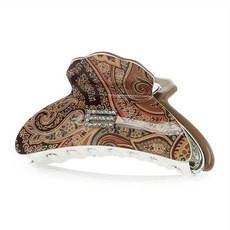 에트로헤어클립