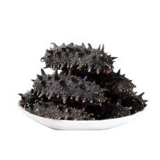 okyaios 자연산 건해삼 25-35마리, 1개, 500g