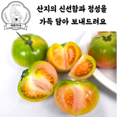 짭짤이토마토 TOP01