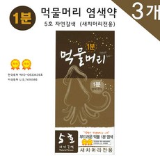 1분 먹물머리 5호 자연갈색 새치머리전용 염색약