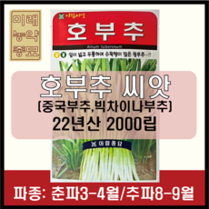 호부추