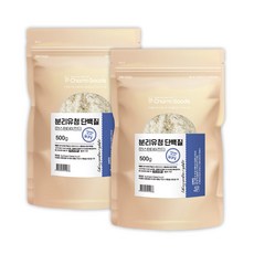 분리유청 단백질 WPI 보충제 WHEY PROTEIN ISOLATE, 2팩, 500g